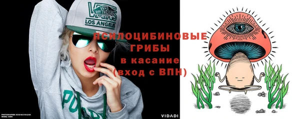 амф Белокуриха