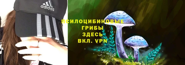 МДПВ Балахна