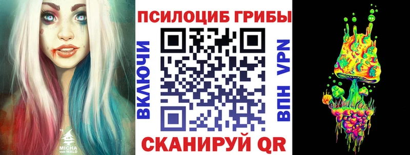 где можно купить наркотик  Бор  Галлюциногенные грибы ЛСД 